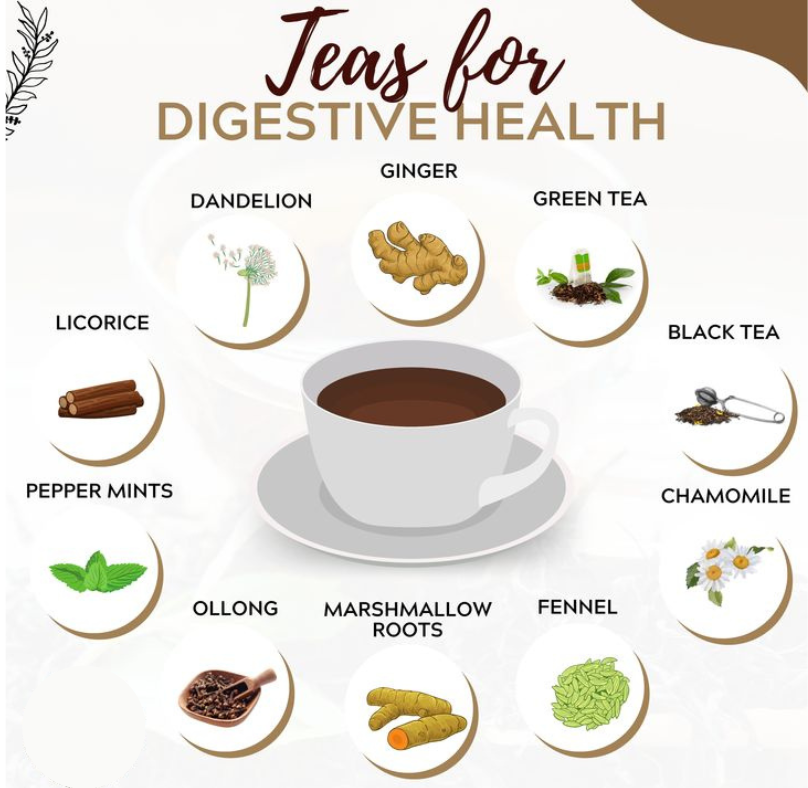 Herbal Teas for Digestion